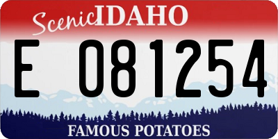 ID license plate E081254