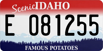 ID license plate E081255