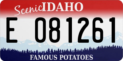 ID license plate E081261