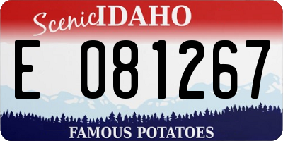 ID license plate E081267