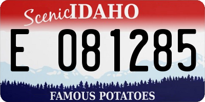 ID license plate E081285