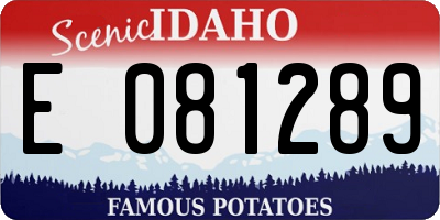 ID license plate E081289
