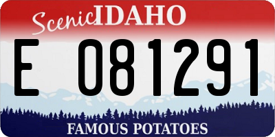 ID license plate E081291