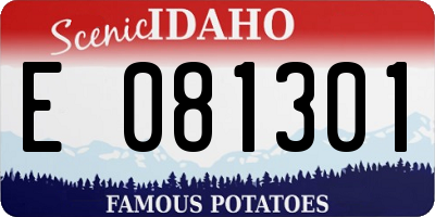 ID license plate E081301