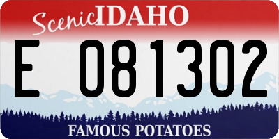 ID license plate E081302