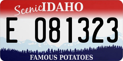 ID license plate E081323