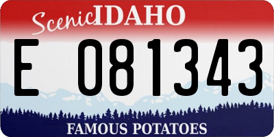 ID license plate E081343
