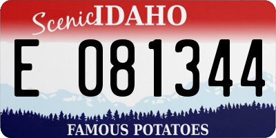 ID license plate E081344