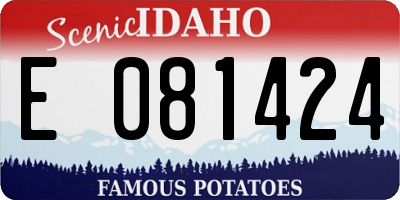 ID license plate E081424