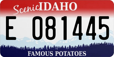 ID license plate E081445