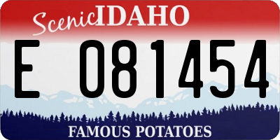 ID license plate E081454