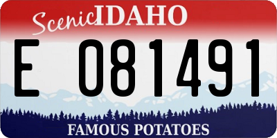 ID license plate E081491