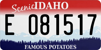 ID license plate E081517