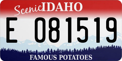 ID license plate E081519