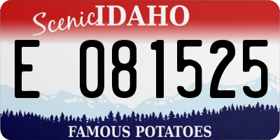 ID license plate E081525