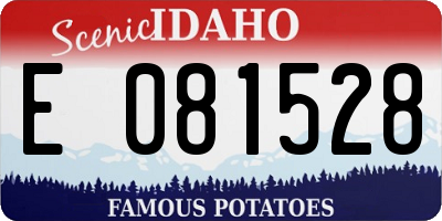 ID license plate E081528