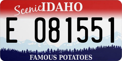 ID license plate E081551