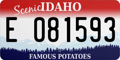 ID license plate E081593