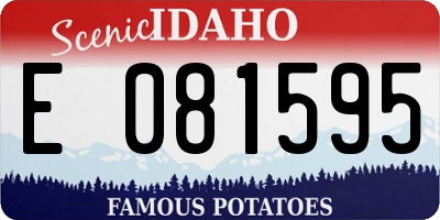 ID license plate E081595