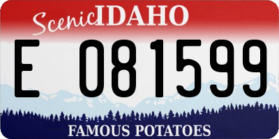 ID license plate E081599