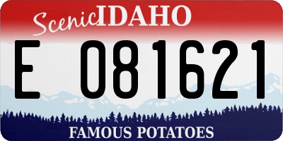ID license plate E081621
