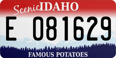 ID license plate E081629