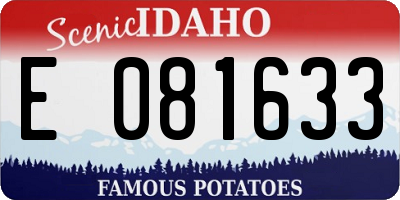 ID license plate E081633