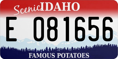 ID license plate E081656
