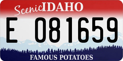 ID license plate E081659