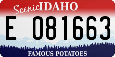 ID license plate E081663