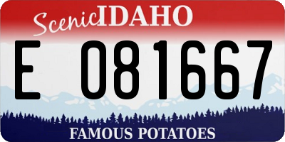 ID license plate E081667