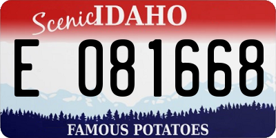 ID license plate E081668
