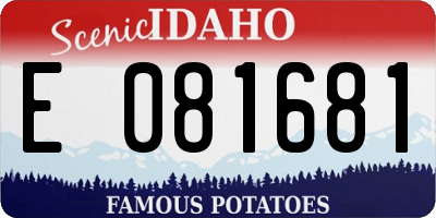 ID license plate E081681