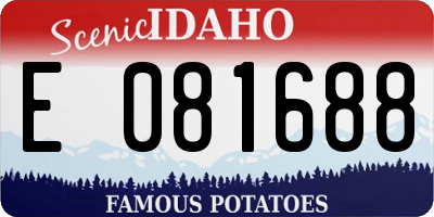 ID license plate E081688