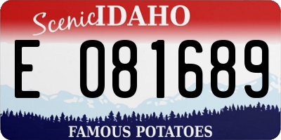 ID license plate E081689