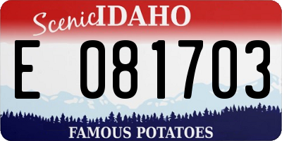 ID license plate E081703