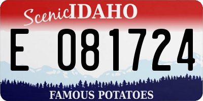 ID license plate E081724