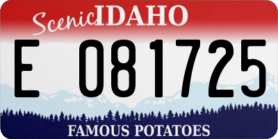 ID license plate E081725