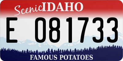 ID license plate E081733