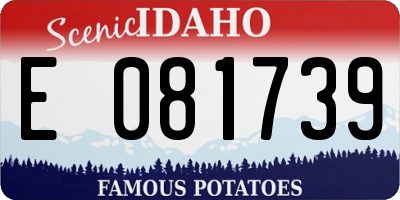 ID license plate E081739