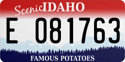 ID license plate E081763