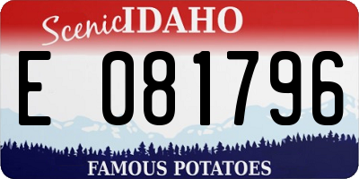 ID license plate E081796