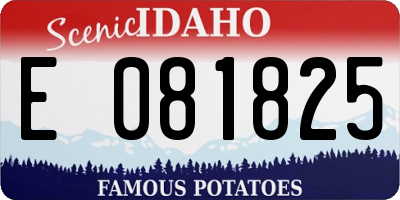ID license plate E081825