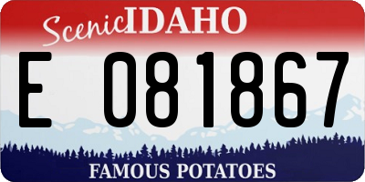 ID license plate E081867