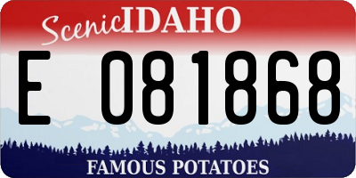 ID license plate E081868