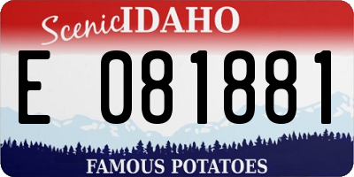 ID license plate E081881