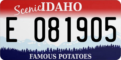 ID license plate E081905