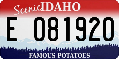 ID license plate E081920