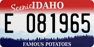ID license plate E081965