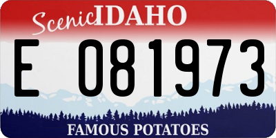 ID license plate E081973